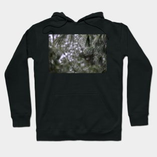 Pine Branch Border Hoodie